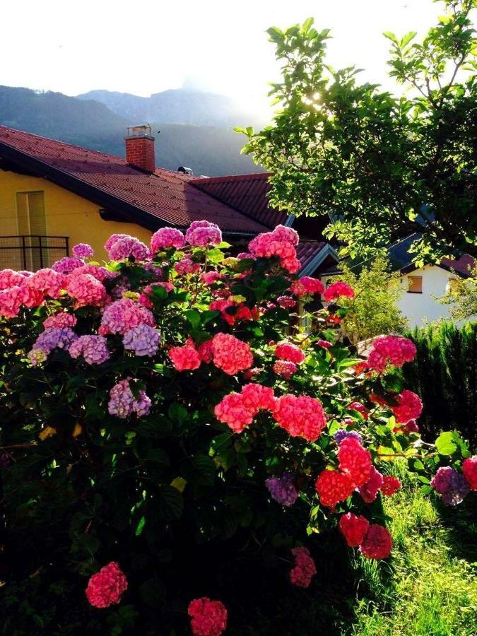 Cosy Cottage With Views Near Kobarid Dış mekan fotoğraf